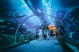 Dubai Tour with Bon Holidays